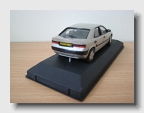 model (13)